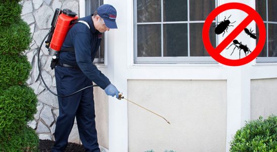 Hopa Haşere İlaçlama böcek ilaçlama ve haşere kontrolü — ilaclama-tr.com